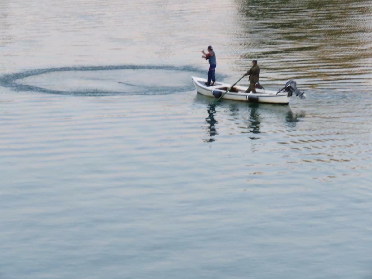 אמליה Alla Foce Del Magra - Appartamenti Sul Fiume Con Posto Barca Vicino Cinque Terre מראה חיצוני תמונה